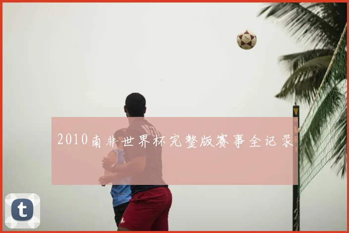 2010南非世界杯完整版赛事全记录