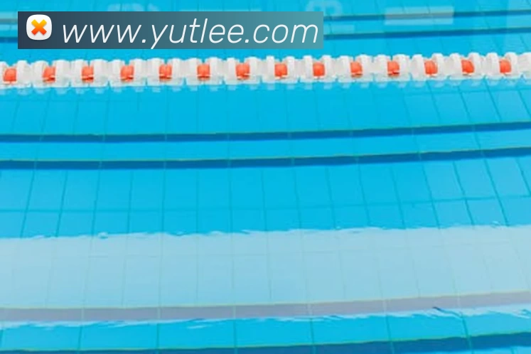 App Interface Preview